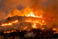 Europe’s Wildfire Crisis Shows How Heat, Neglect and Arson Create a Tinderbox