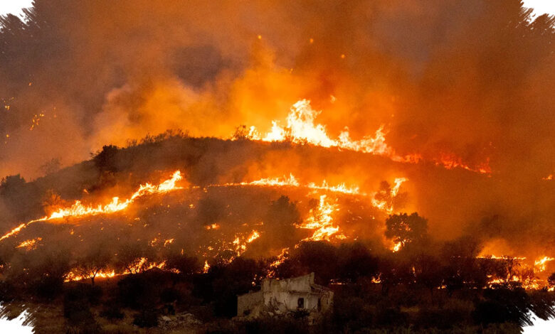 Europe’s Wildfire Crisis Shows How Heat, Neglect and Arson Create a Tinderbox