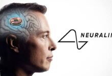 He Could Lift an Egg Without Breaking It, Thanks to an AI Brain Implant