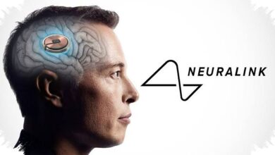 He Could Lift an Egg Without Breaking It, Thanks to an AI Brain Implant