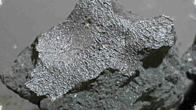 New Jersey Meteorite Reveals Briny Chemistry Linked to Life’s Building Blocks