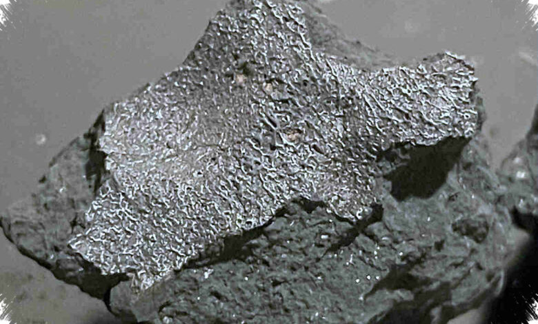 New Jersey Meteorite Reveals Briny Chemistry Linked to Life’s Building Blocks