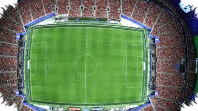 Why FIFA Spent Over US$5 Million on World Cup Grass, Then Sold It for US$3,000