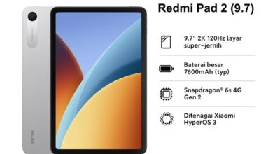 3 Compact 9.7-Inch Tablets, From 120 Hz Android Models to an Affordable iPad Pro