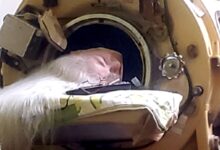 He Entered an Iron Lung at 6 and Built a Life Beyond It for More Than 70 Years