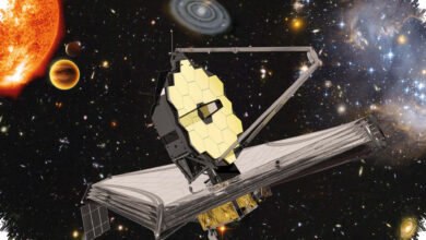 JWST Finds Dust-Making Stars in a Metal-Poor Galaxy, Revising Early Universe Clues