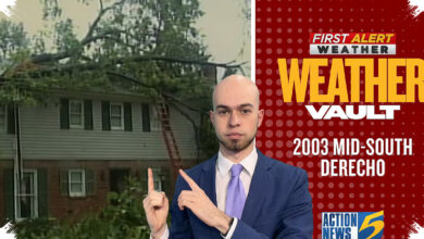 Memphis Woke to 109-MPH Winds, but 2003’s “Hurricane Elvis” Was No Hurricane