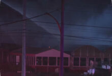 Fire Destroys Bauman’s Farm Market, While Most Greenhouses Appear Unharmed