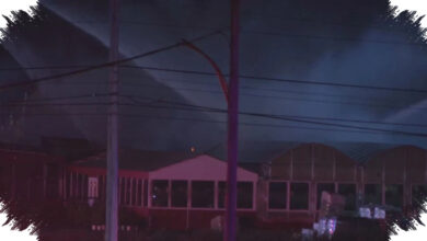 Fire Destroys Bauman’s Farm Market, While Most Greenhouses Appear Unharmed
