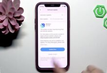 Your iPhone’s iOS Version Can Limit Apps, Here Is How to Check It