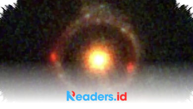 JWST’s Near-Perfect Einstein Ring Exposes an Ancient Galaxy of Extreme Mass